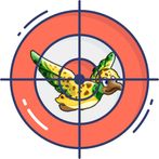 Shooting Duck