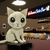 cat muzzle