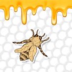 Take the Honey - Multiplayer B