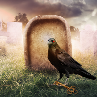 Escape Room Mystery Park