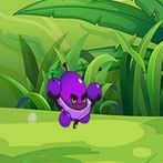 Jungle Adventures