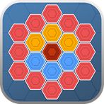 Hexa Block Color Puzzle