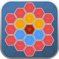 Hexa Block Color Puzzle