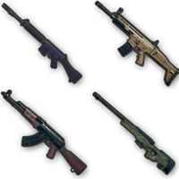 Battle Ground Guns Quiz