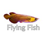 Flying Fish Game