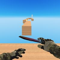 CS Bhob Pro Go Run