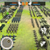 Ladik Apps & Games