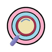 Find the Odd One Out : NS Hub