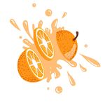 Fruit Cut Knife Master