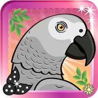 Fancy Parrot Dress Up Game