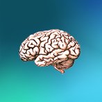 Brain Box - Cognitive Games - 