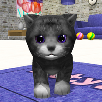 KittyZ Cats and kittens games