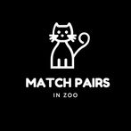 Match Pairs in Zoo