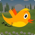 Go Bird - (Vai Passarinho)