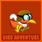 Bird Adventure