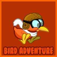 Bird Adventure
