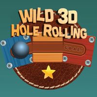 Wild 3D Hole Rolling 2021