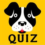 Guess the Dog Breed: Quiz