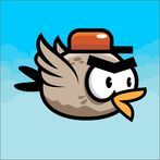 Flappy Happy Birds