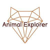 Animal Explorer
