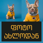 ფოტო ახლოდან