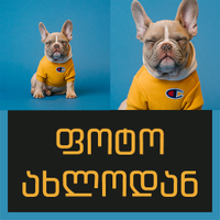 ფოტო ახლოდან