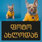 ფოტო ახლოდან