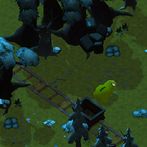 Toad Crosses The Jungle