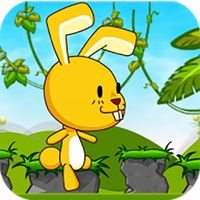 Rabbit Run Adventure