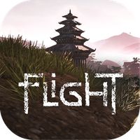 Flight : The Valley