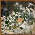 Simple Jigsaw Puzzle