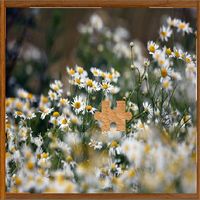 Simple Jigsaw Puzzle