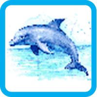 Dolphin Pixel Number