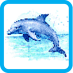 Dolphin Pixel Number