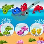 Ocean Fishing