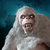 nightmare studios