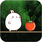 Jungle Jump - Jungle Adventure