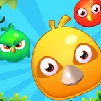 Clash of Birds