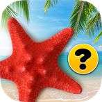 Brain game - Memory training -