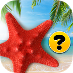 Brain game - Memory training -