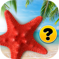 Brain game - Memory training -