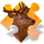 Animals Jigsaw Puzzles Free