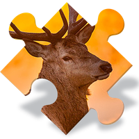 Animals Jigsaw Puzzles Free