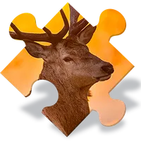 Animals Jigsaw Puzzles Free