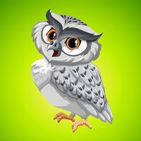 What's Missing There?