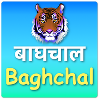 Baghchal Game