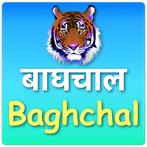 Baghchal Game