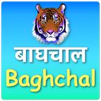 Baghchal Game