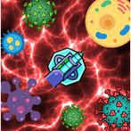 Stop The Spread - The Game