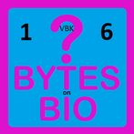 BoB Quiz 1VBK6
